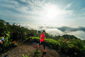 BIB: 
                            <button type="button" onclick="openModal(26370910)" class="btn btn-primary btn-sm float-right btn-popup" data-toggle="modal" data-target=".modal-high-quality">
                        <i class="fas fa-shopping-cart"></i> Add to Cart
                    </button>
                                            <button type="button" onclick="isThisMe(26370910, true)" class="btn btn-success btn-sm float-right btn-popup btn-isme hidden" data-toggle="tooltip" data-placement="bottom" title="นี่คือรูปของคุณใช่ไหม คลิกที่นี่เพื่อเอาเข้าอัลบั้ม">
                        <i class="fas fa-plus"></i> Add to album
                    </button>
                    <button type="button" onclick="isThisMe(26370910, false)" class="btn btn-warning btn-sm float-right btn-popup btn-isnotme hidden">
                        <i class="fas fa-ban"></i> Remove from album
                    </button>